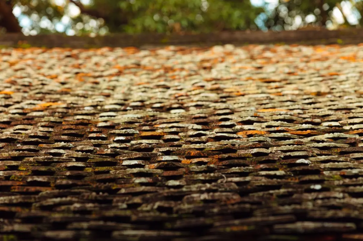 Aging shingle roof with moss growth and granule loss in Tuscaloosa, AL